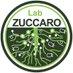 Alga Zuccaro (@Team_Zuccaro) Twitter profile photo