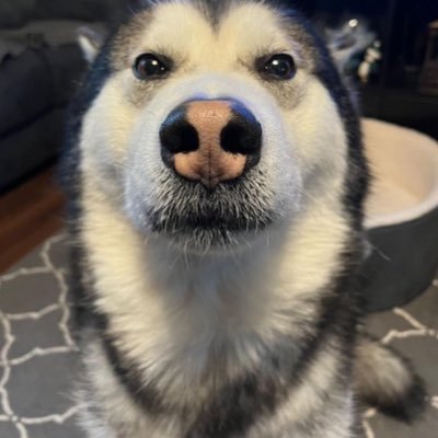 Dabba_3's profile picture. balls!!