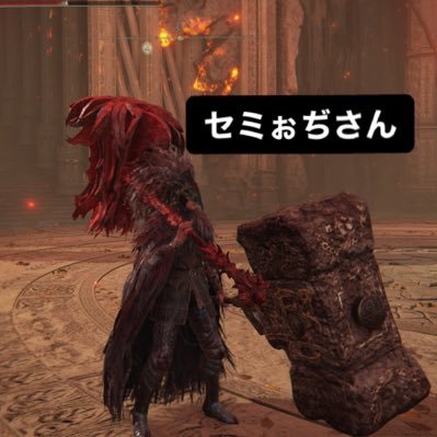 セミおじさんさんのプロフィール画像