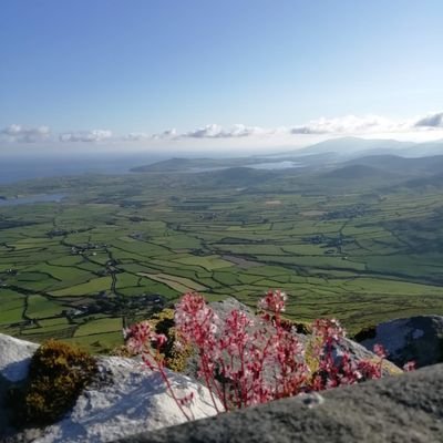 Ó Lios Deargáin i gCorca Dhuibhne. I UCC.