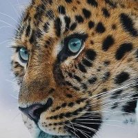 Gia2bella@Gia2Bella (@bella2gia) 's Twitter Profile Photo Gia2bella@Gia2Bella (@bella2gia) 's Twitter Profile Photo