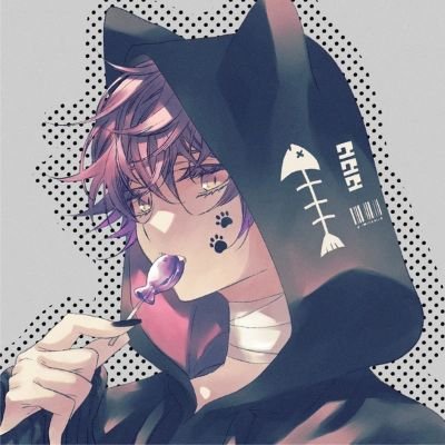 ねこたんさんのプロフィール画像
