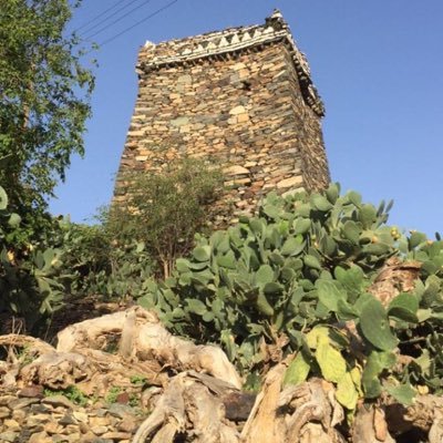 dwos_'s profile picture. جميع ما يخص أخبار ومناسبات اهل القرن والردمة بقرية دوس بني منهب بزهران.