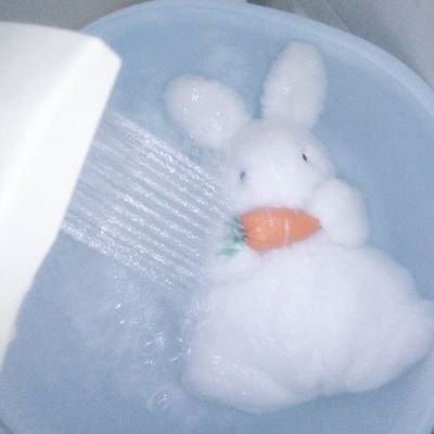 주인있는 톢기 리리՞⑅. .՞₎                                                         트위터 외 ✖️, 질문 : https://t.co/TKRiHYQBmJ
