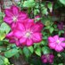 Linda Grady (@greydylady) Twitter profile photo Linda Grady (@greydylady) Twitter profile photo