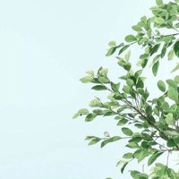 خير (@7_almajd) 's Twitter Profile