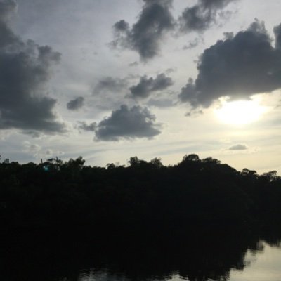mrjackoffgood Profile