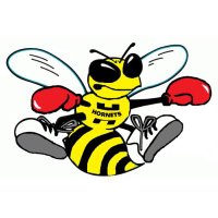 Nigel Davies (@cwmavonhornets) 's Twitter Profile
