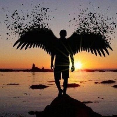 DistJjca's profile picture. Solo se que no se nada