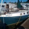 Boa1Solosailing's profile picture. Solo Sailor by choice