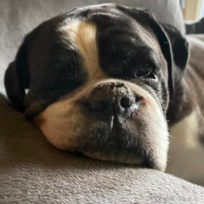 Dodgysod1's profile picture. 