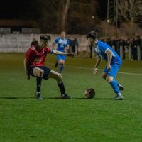 Max Hatton (@hatton_max) 's Twitter Profile