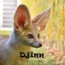 Djinn the Fennec Fox (@DjinnFennecFox) Twitter profile photo