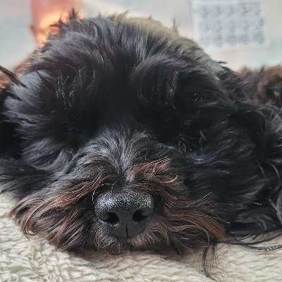 PopeVicky's profile picture. Mum to two gorgeous boys. Wife to wonderful husband