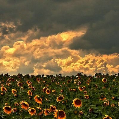 سبحان الله وبحمده سبحان الله العظيم
☹️💔@esraa__40حسابي القديم متوقف