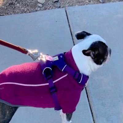 rubadub_1's profile picture. “Este es el mejor club del mundo. Con este escudo y con esta camiseta no nos rendiremos nunca." F.Perez