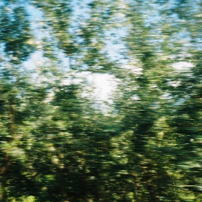 _ntgtn's profile picture. vazé