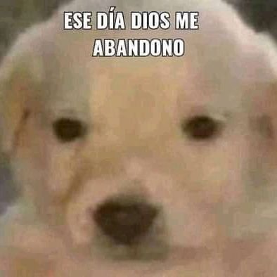 Cuenta que me hice para expresar todo lo que pienso pq no tengo a quién contárselo
