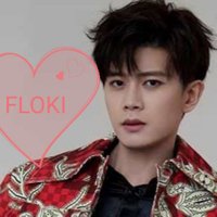 旺福旺FLOKI(💯互fo💯互fo) (@wangfuwang1) 's Twitter Profile