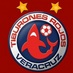 Tiburones CSA (@csatiburones) Twitter profile photo