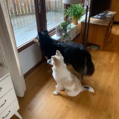 Lowqei's profile picture. 21, offline online