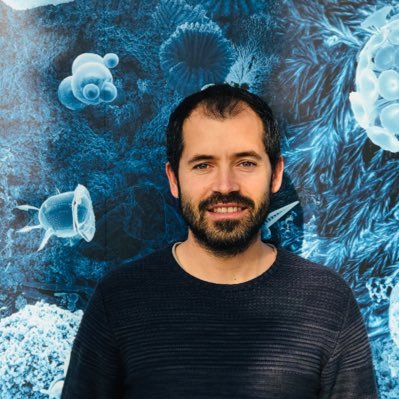 Marine microbial ecologist at @ICMCSIC (‘Ramón y Cajal’ fellow)...in between two passions, science and music.