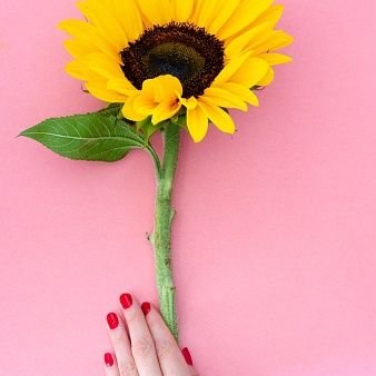 Una sonrisa  sólo  es el inicio  de un mundo mejor, gira gira girasol.