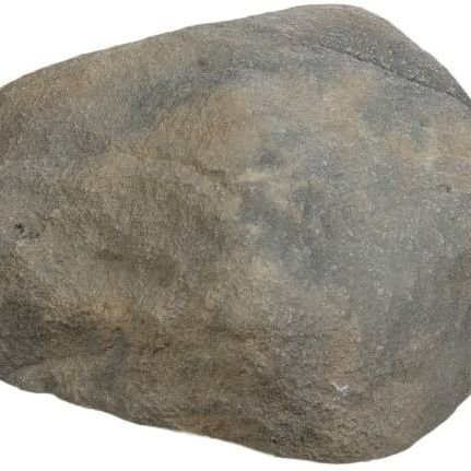 MichaelArita4's profile picture. 