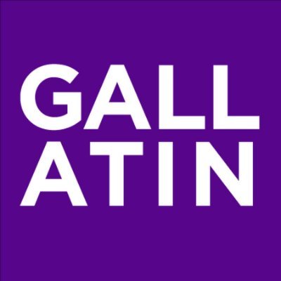 NYU Gallatin Profile