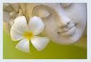 kabar bali - bali update news #srudukfollow newbie
