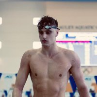 Carles Coll (@carlescoll2) 's Twitter Profile