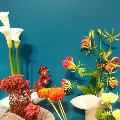 kakepon_s7's profile picture. 🎾は生きる糧。
毎週の楽しみは大河。
ゆるーくランニングも。