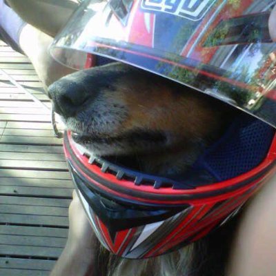 VolanteCero's profile picture. El automovilismo es una joda, mis tuits son cosa seria. F1 o muerte.