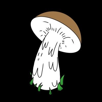 links for all my stuff in the link tree