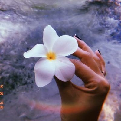 Cetadoidoo22's profile picture. Só pra preencher msm