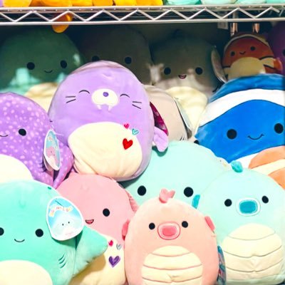 Lover & collector of all things squishy! Squishmallow curator & owner of the Squish BOSS Shop & Blog