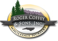 Roger Coffey And Sons, located in the foothills of the Blue Ridge Mountians, is a family owned and operated wholesale nursery, with over 50 years experience.