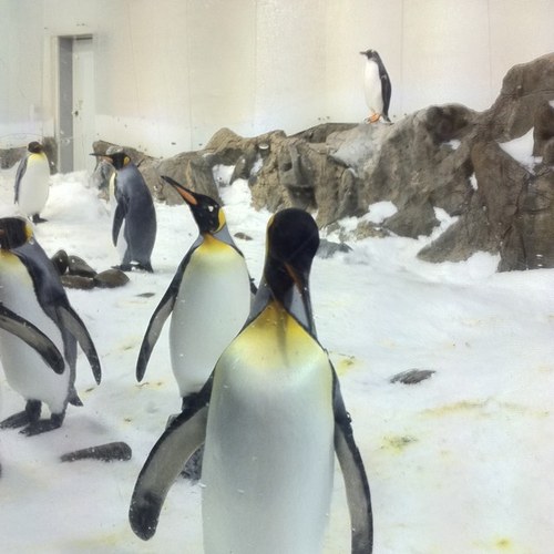 dunmoore's profile picture. Manager WWP Tuggeranong