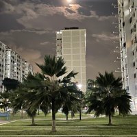 LL (@linlin8388) 's Twitter Profile