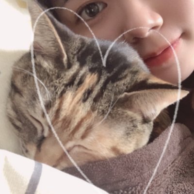 浜浦彩乃 こぶしファクトリー 広瀬彩海 野村みな美 和田桜子
井上玲音 Juice=Juice
菅谷梨沙子 Berryz工房 ハロプロ全般
SOUNDGARDEN バンド ベース
過去 ハロプロ Buono! コピバンでベース弾いてました
