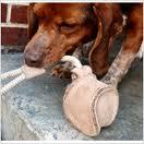 ABOGear1's profile picture. Eco-friendly outdoor gear & animal related products. ABO Gear is a proud supporter of Animal Rescue.