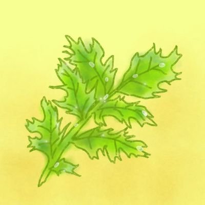 東北大おそらく理系🇯🇵わりと本好き
のんびり屋、きのこ派。
Twitter🐥初心者🔰
まふまふさんのこと応援してます。1/27追記