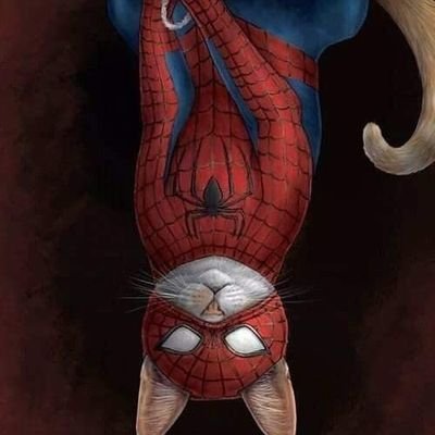 NewSilverSoul's profile picture. Simplemente... Trato de Mejorar un paso a la vez