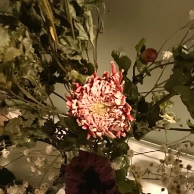 鑑川さんのプロフィール画像
