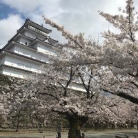 CALBO (@msrsfprsp0225) Twitter profile photo