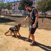 HAZAEL PINO ❤️ (@hazaelbommba) 's Twitter Profile