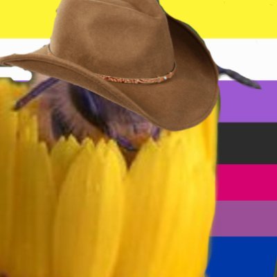 texas bee #yeehaw #StandWithUkraineさんのプロフィール画像