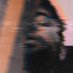 pixelnds (@fernand81263532) Twitter profile photo pixelnds (@fernand81263532) Twitter profile photo