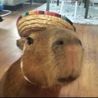 capybara