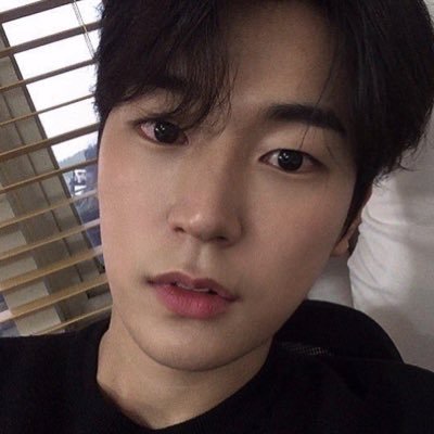 syntaxerror_pp's profile picture. 